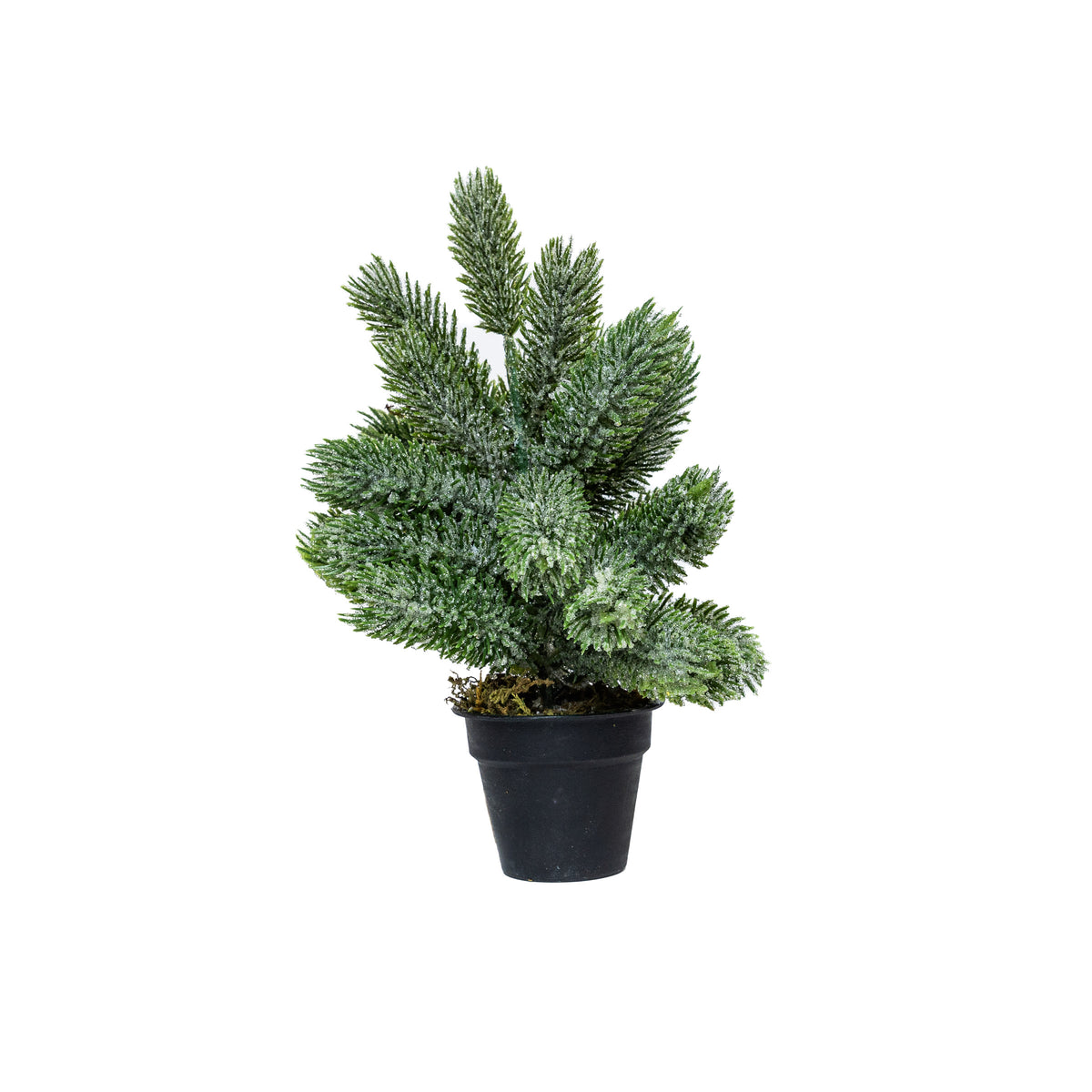Mini műfenyő cserépben 22 cm, Kicsit havas változat, 3. kép