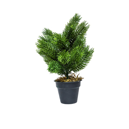 Mini műfenyő cserépben 22 cm, Hó nélküli változat, 4. kép