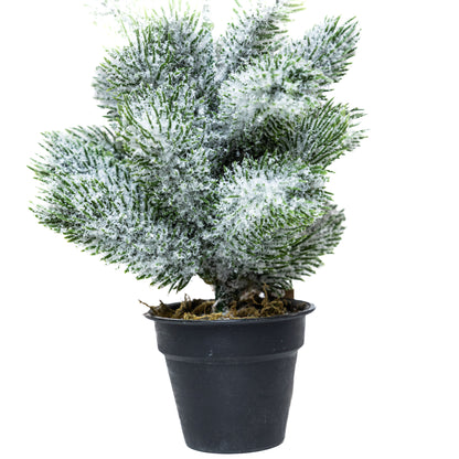 Mini műfenyő cserépben 22 cm, Nagyon havas változat, 2. kép