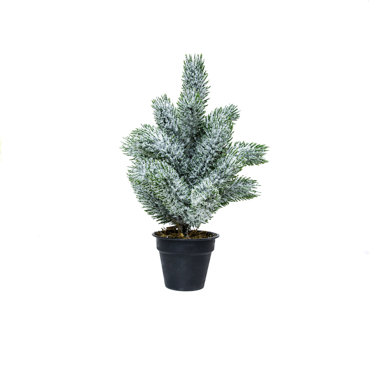 Mini műfenyő cserépben 22 cm, Nagyon havas változat, 3. kép