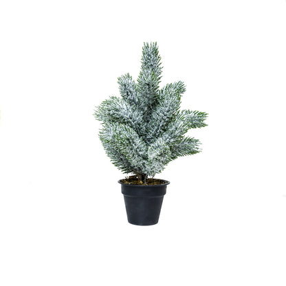 Mini műfenyő cserépben 22 cm, Nagyon havas változat, 3. kép