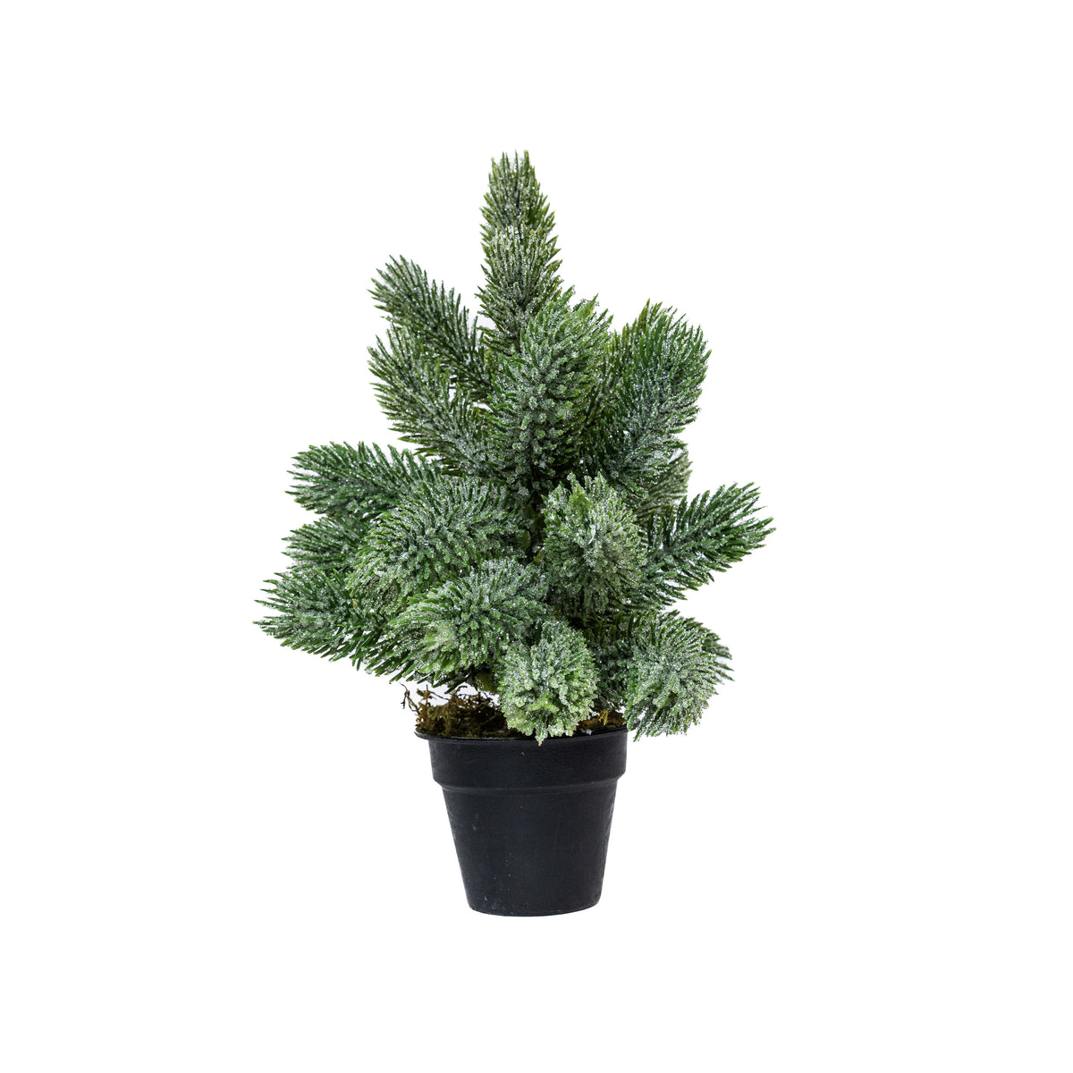 Mini műfenyő cserépben 22 cm, Kicsit havas változat, 1. kép