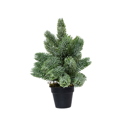 Mini műfenyő cserépben 22 cm, Kicsit havas változat, 1. kép