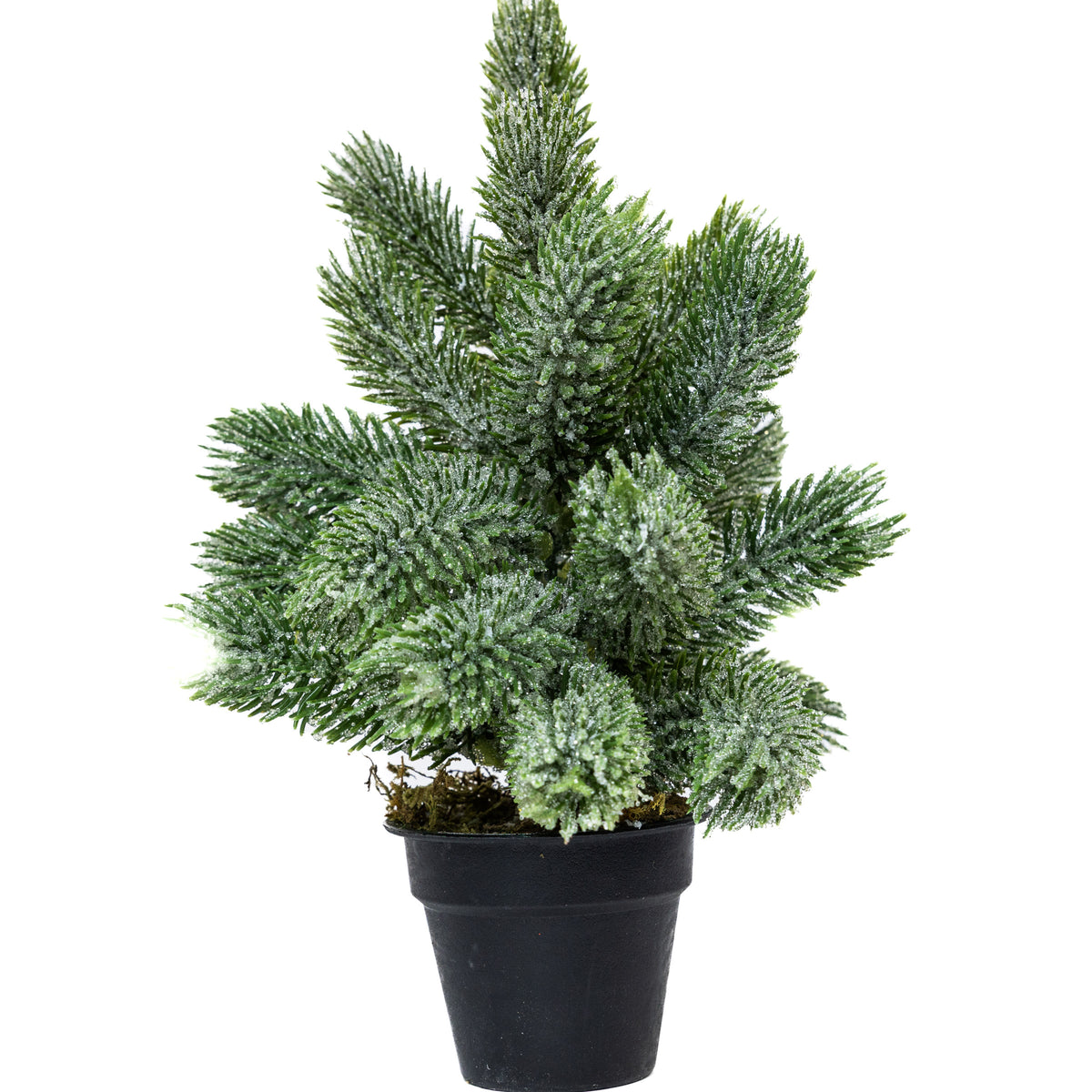 Mini műfenyő cserépben 22 cm, Kicsit havas változat, 2. kép