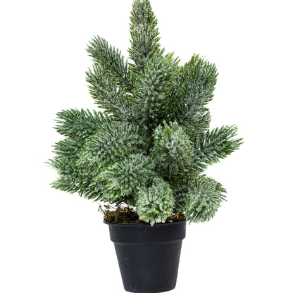 Mini műfenyő cserépben 22 cm, Kicsit havas változat, 2. kép